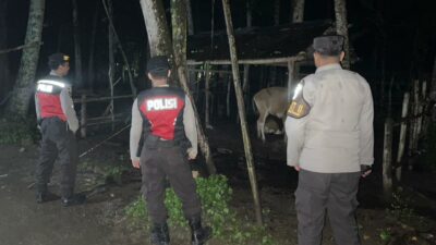 Sinergi Polisi-Warga Sekotong: Jaga Kamtibmas Lewat Patroli Malam