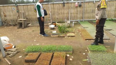 Ketahanan Pangan di Lombok Barat, Polisi Gandeng Petani Sukses Manfaatkan Pekarangan