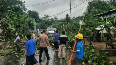 Pohon Tumbang Blokade Jalan Raya Sekotong, Polisi Gerak Cepat!