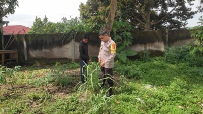 Ketahanan Pangan Lombok Barat: Peran Aktif Bhabinkamtibmas di Desa