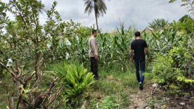 Bhabinkamtibmas Labuapi Dorong Petani, Ini yang Dilakukannya