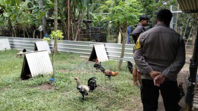 Kapolsek Batulayar: Komitmen Nyata untuk Keamanan Lombok Barat