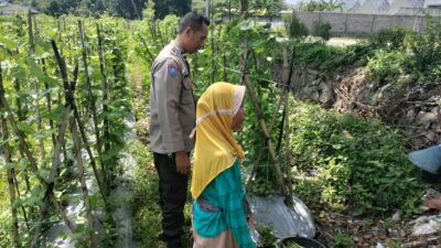 Sinergi Polri dan Petani, Bhabinkamtibmas Dorong Optimalisasi Lahan