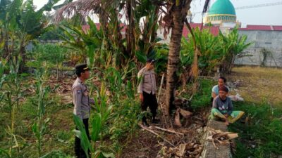 polsek, labuapi, polri, petani, pertanian, dukungan, program, pemerintah, bhabinkamtibmas, sinergi