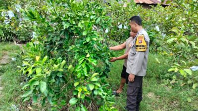 Bukan Sekadar Jaga Desa, Polisi Ini Jadi Penggerak Ketahanan Pangan