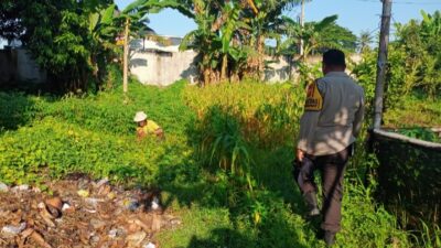 Bhabinkamtibmas Karang Bongkot Turun ke Sawah, Dukung Petani Maju!