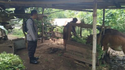 Ketahanan Pangan dari Rumah: Polri Ajak Warga Tanam Sayur di Pekarangan