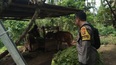 Ketahanan Pangan Dimulai dari Rumah: Bhabinkamtibmas Beri Edukasi Warga