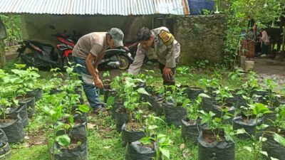 Bhabinkamtibmas Desa Batulayar Dukung Ketahanan Pangan Warga