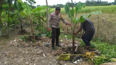 Sosialisasi Ketahanan Pangan, Bhabinkamtibmas Desa Jagaraga Rangkul Petani Lokal