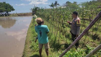 Bhabinkamtibmas Kuranji Dalang Gelar Sambang untuk Edukasi Ketahanan Pangan di Dusun Mapak Barat