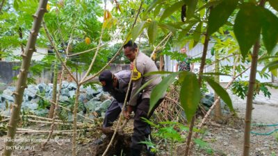 Pentingnya Ketahanan Pangan: Bhabinkamtibmas Kuripan Utara Berkunjung ke Dusun Pelulan