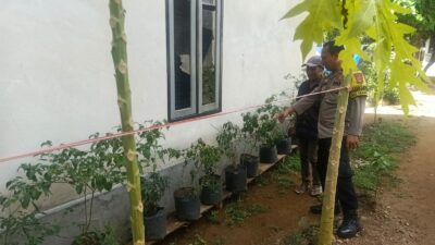 Polri dan Warga Bangun Ketahanan Pangan Lewat Pekarangan Rumah di Sekotong