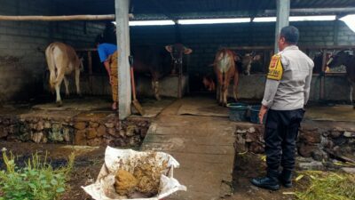 Dekatkan Diri ke Warga, Bhabinkamtibmas Dorong Usaha Ternak