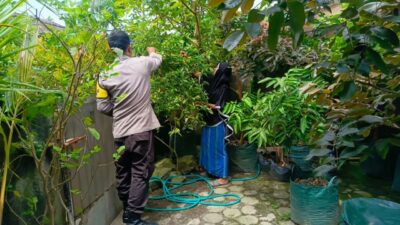Sinergi Polri-Warga Lombok Barat Wujudkan Swasembada Pangan dari Rumah