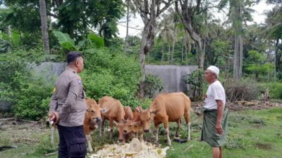 Ketahanan Pangan NTB Menguat: Sinergi Polisi & Warga di Lombok Barat Berbuah Positif