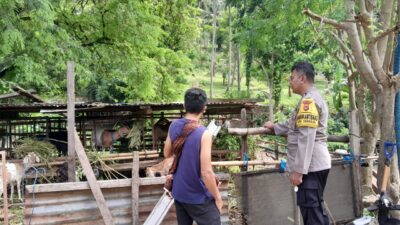 Inspiratif! Bhabinkamtibmas Gerakkan Kemandirian Pangan Desa