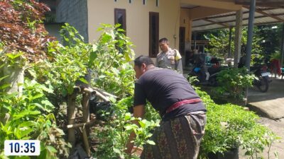 Bhabinkamtibmas Kuripan Aktif Sosialisasikan Program Pangan