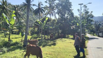 Bhabinkamtibmas Batulayar Barat Aktif Dorong Ketahanan Pangan Masyarakat Melalui Pemanfaatan Pekarang