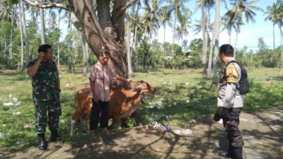 Bhabinkamtibmas Batulayar Giatkan Pertanian Pekarangan Warga