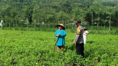 Optimalisasi Pekarangan: Peran Aktif Bhabinkamtibmas
