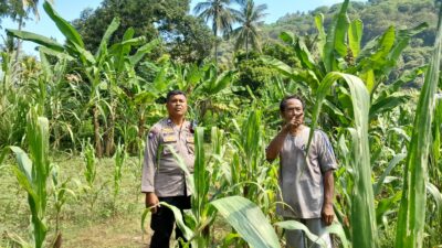 Ketahanan Pangan: Kolaborasi Bhabinkamtibmas dan Warga Desa Senggigi