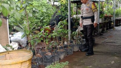 Bhabinkamtibmas Desa Terong Tawah Galakkan Ketahanan Pangan di Desa