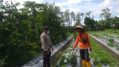 Bhabinkamtibmas Desa Jagaraga Ajarkan Warga Pemanfaatan Lahan untuk Ketahanan Pangan