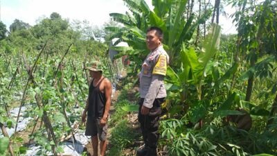 Polsek Kuripan Aktif Sosialisasi Ketahanan Pangan ke Petani Desa Jagaraga