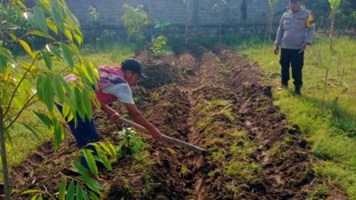 Polsek Labuapi Dukung Program Ketahanan Pangan Melalui Bhabinkamtibmas