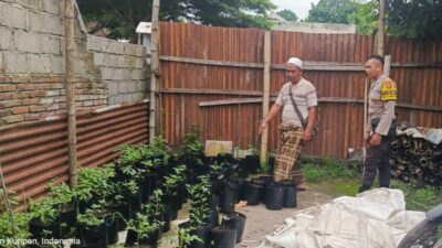 Ketahanan Pangan Nasional Dimulai dari Pekarangan Rumah: Inisiatif Polsek Kuripan