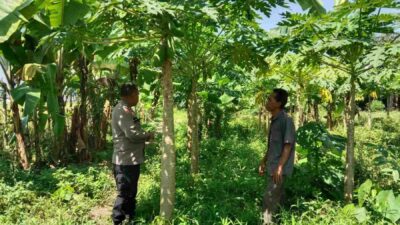Sinergi Warga dan Polisi Gerakkan Pertanian Rumah Tangga