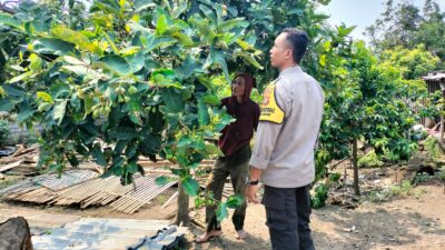 Polri dan Petani Bersatu Wujudkan Program Pangan Nasional di Lombok Barat