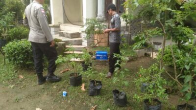 Dukung Pertanian Pekarangan, Polri Hadir Erat di Tengah Masyarakat di Sekotong