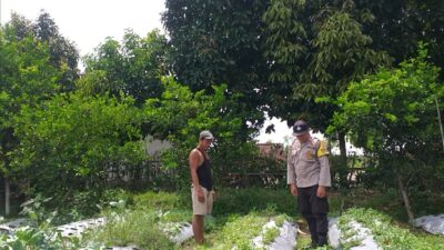 Sambang Warga, Bhabinkamtibmas Gaungkan Ketahanan Pangan Desa