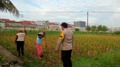 Sinergi Polri dan Warga Kembangkan Ketahanan Pangan Desa