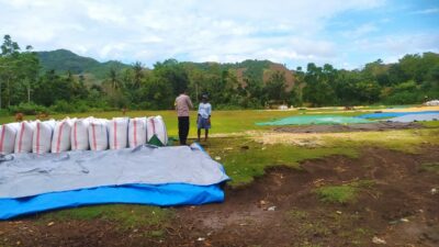 DDS Bhabinkamtibmas: Upaya Nyata Dukung Program Pangan