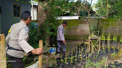 Bhabinkamtibmas Kuripan Edukasi Warga Soal Ketahanan Pangan Lokal