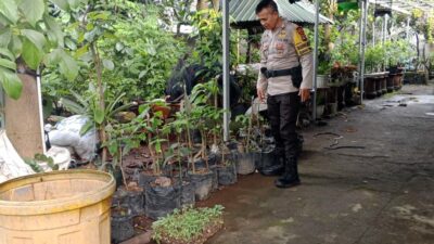 Ketahanan Pangan Nasional, Polsek Labuapi Turun Langsung ke Masyarakat