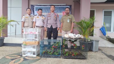 Balai Karantina NTB dan Polisi Gagalkan Perdagangan Burung Ilegal di Pelabuhan Lembar