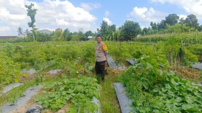 Polri Dukung Ketahanan Pangan di Desa Beleka Lombok Barat
