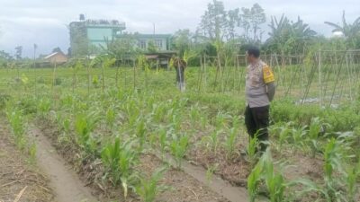 Silaturahmi Polisi dan Petani, Perkuat Pangan dan Keamanan Desa