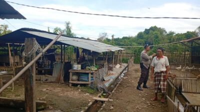 Bhabinkamtibmas Dorong Ketahanan Pangan di Dusun Merembu Tengah