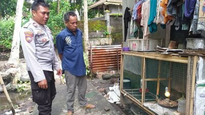 Pekarangan Jadi Lumbung: Inovasi Pangan di Desa Jagaraga