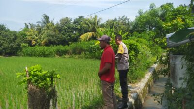 Bhabinkamtibmas Sekotong Dukung Swasembada Pangan di Batu Putih