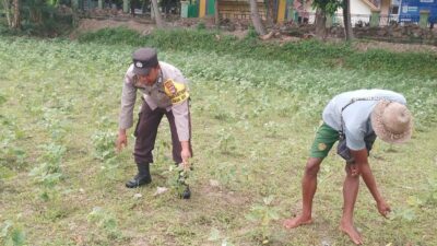 Ketahanan Pangan Lokal, Inisiatif Bhabinkamtibmas di Lombok Barat