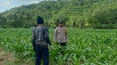 Kunjungan DDS: Ketahanan Pangan dan Kamtibmas Jadi Fokus Polisi Sekotong