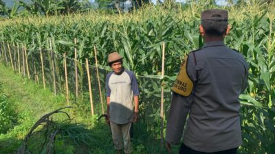 Pekarangan Bergizi, Inisiatif Ketahanan Pangan di Dasan Geres