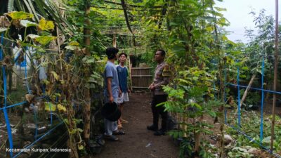 Pemuda Pesongoran Bergerak Wujudkan Kemandirian Pangan