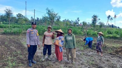Peran Polri Dalam Swasembada Pangan di Sekotong, NTB